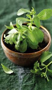 Diabetes y colesterol