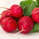 Saber Cuidarse - Tienda de Productos Ecológicos in Betxí