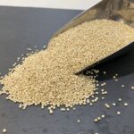 Saber Cuidarse - Tienda de Productos Ecológicos in Segorbe
