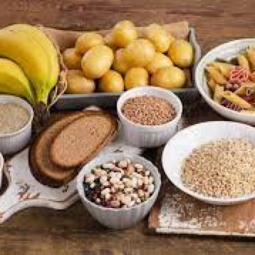 ALIMENTACÍON ORGANICA